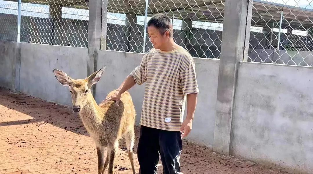捕鱼游戏网络版